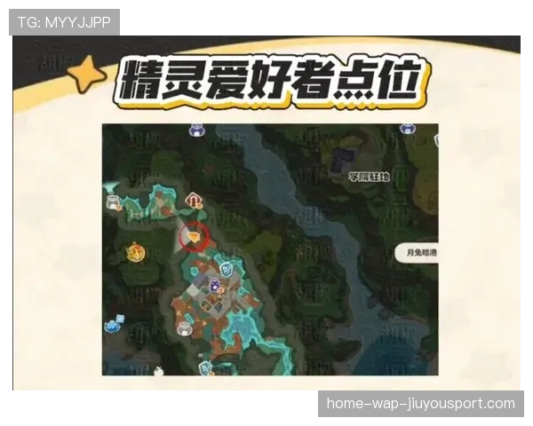 精灵守卫视野点位：辅助位的视野布置策略革新★
